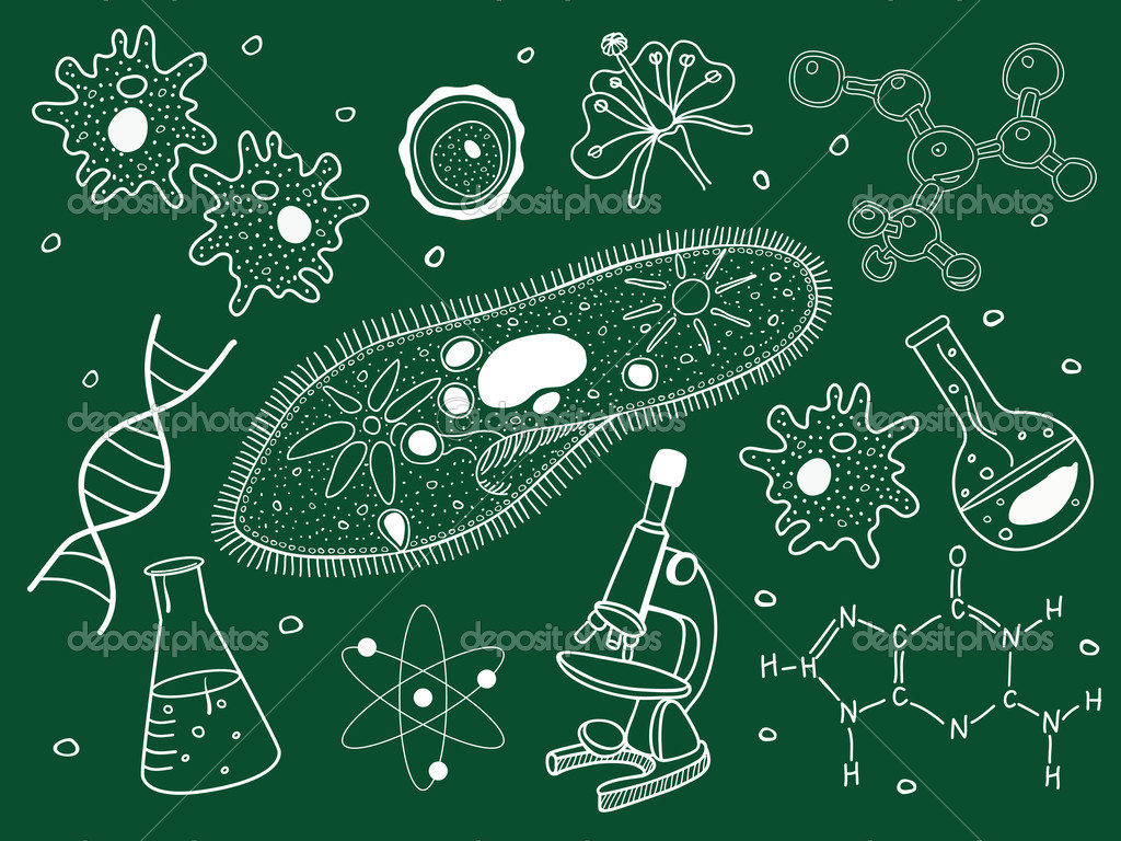 Nature：科学家找到杀死抗药细菌的新靶点