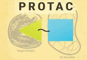 热点前沿:PROTAC初露锋芒，SD-36对抗肿瘤效果卓越