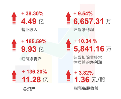 BOBSport 财务亮点