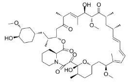 雷帕霉素新制剂用于罕见病，获4500万美元融资