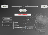 人工合成NT类脂质开放血脑屏障，为CNS药物打开新局面