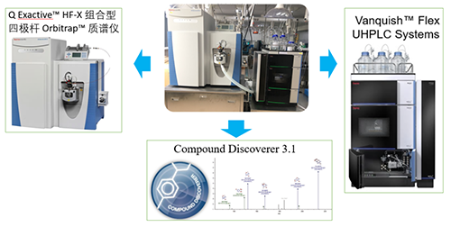 BOBSportUHPLC-UV-QE HF-X系统