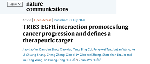 Nature|非小细胞肺癌治疗新方案：靶向降解EGFR