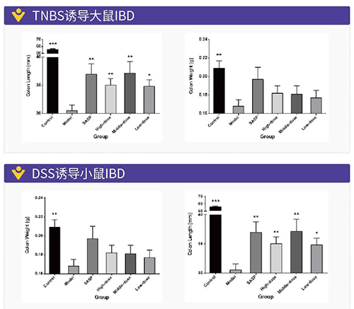 TNBS诱导的大鼠IBD、DSS诱导的大鼠IBD