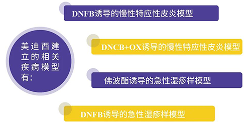 BOBSport建立的特应性皮炎及湿疹模型