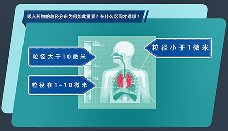 吸入药物的粒径分布为何如此重要？在什么区间才理想？