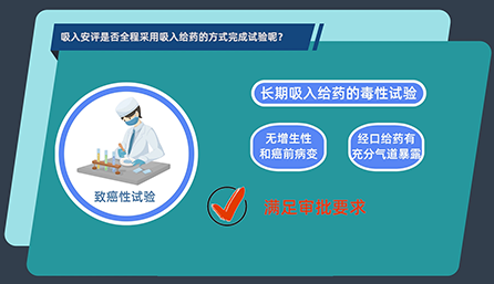 吸入安评是否全程采用吸入给药的方式完成试验呢？