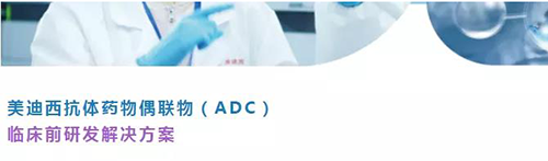 BOBSport抗体药物偶联物（ADC）临床前研发解决方案.png