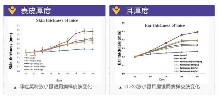 BOBSport模拟银屑病的建模模型-试验结果的指标.png