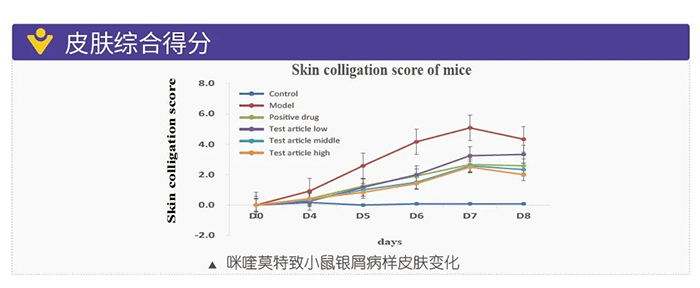 BOBSport模拟银屑病的建模模型-皮肤综合得分.png