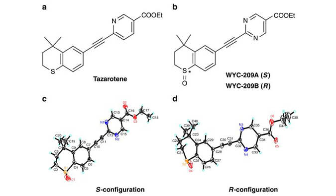 WYC-209可抑制恶性小鼠黑色素瘤肿瘤再生细胞增殖，SPR分析通过BOBSport使用Biacore 8K设备进行