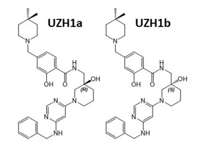 研究人员报告了一种具有细胞渗透性的选择性METTL3纳摩尔抑制剂UZH1a，作者感谢BOBSport合成了UZH1a和UZH1b