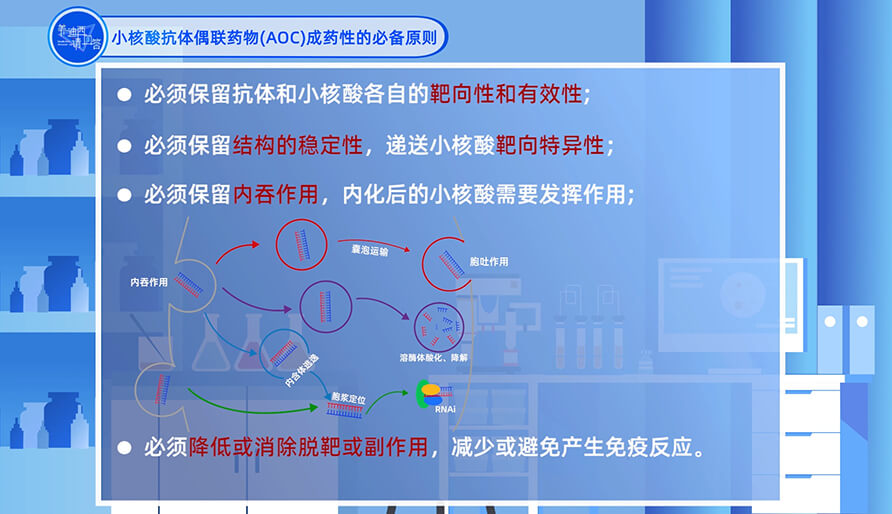 小核酸抗体偶联药物（AOC）成药性的必备原则？