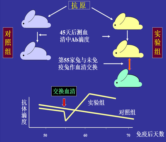 Figure-1：机体对抗体浓度变化的感知与反馈性自我调节.jpg