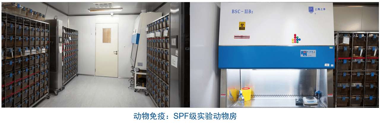 BOBSport杂交瘤技术平台设备-动物免疫SPF级实验动物房