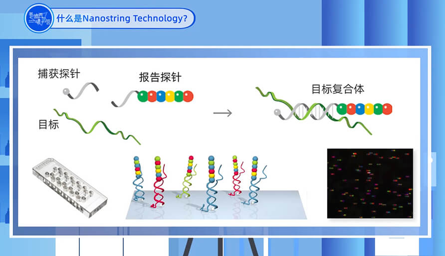 什么是Nanostring 技术？